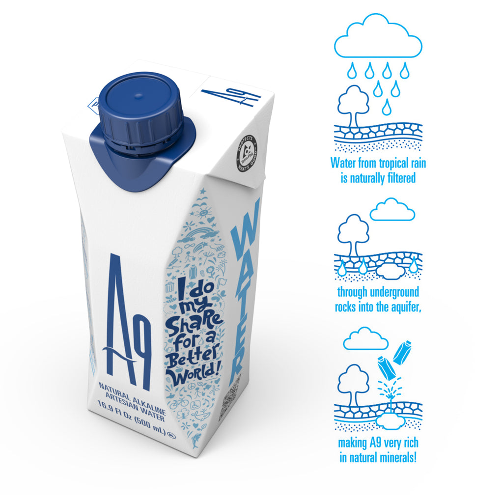 A9 Alkaline Artesian Mineral Natural Water - Untouched and Unchanged, Made by Mother Nature & Packed by A9, Elegance with pH 9.6 for Optimal Wellness, Eco-Friendly Packaging, No additives, No Plastic, 16.9 Fl Oz Bottles